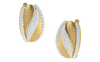The Satvik Earrings