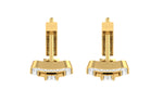 The Arellia Diamond Earrings