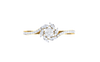 The Blondie Ring